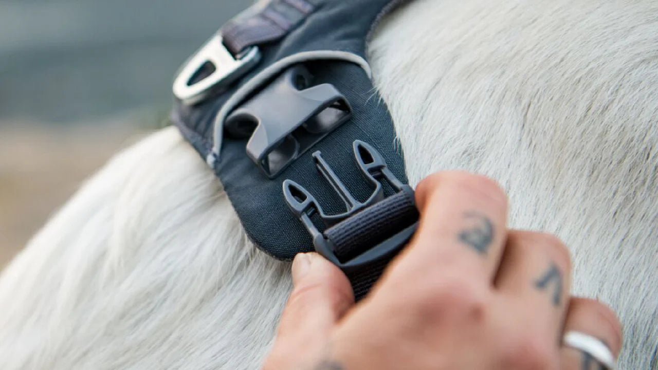 RUFFWEAR Front Range Harness