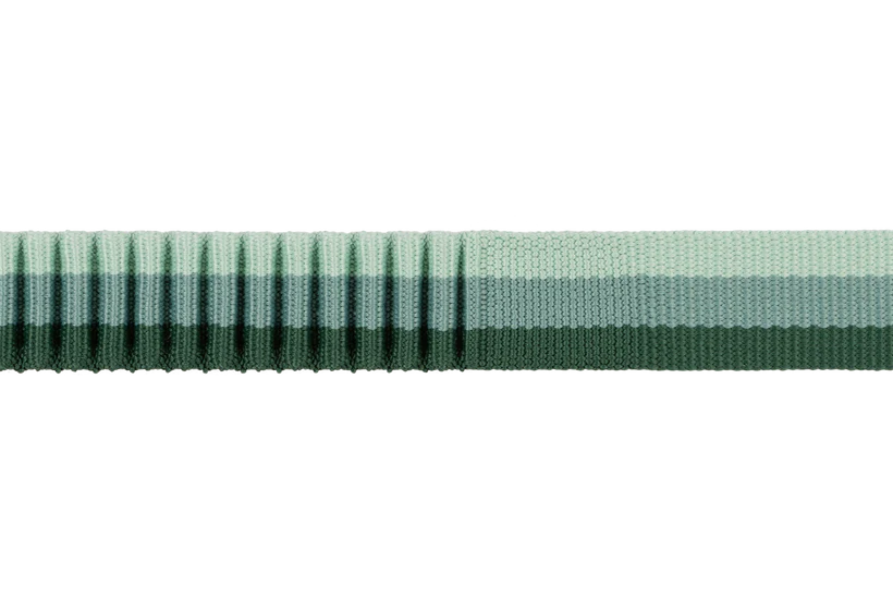 RUFFWEAR Roamer Dog Leash