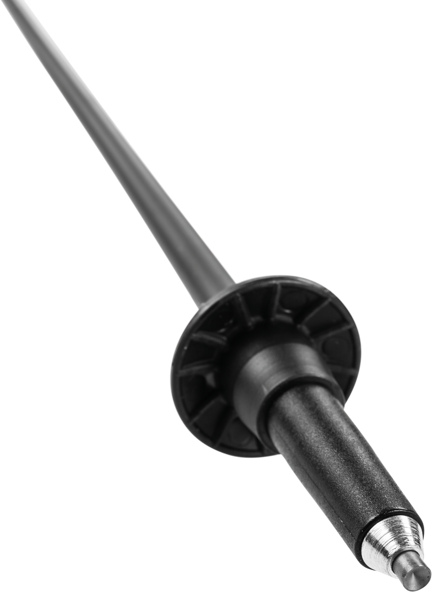 Leki Instructor Lite Nordic Walking Pole