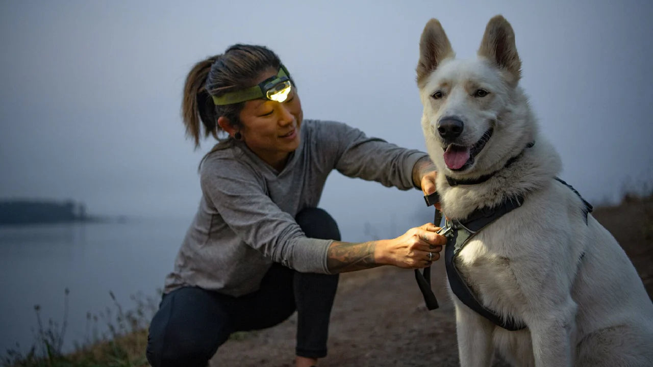 RUFFWEAR Front Range Harness