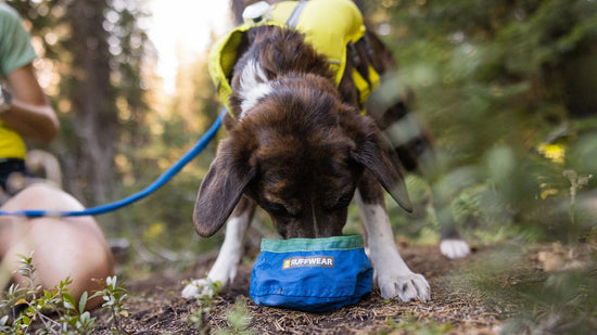RUFFWEAR Trail Runner Ultralight Bowl